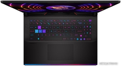 Игровой ноутбук MSI Raider GE78HX 13VH-214RU 