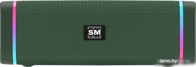 Soundmax SM-PS5019B (зеленый) 