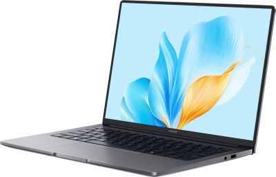 Ноутбук Honor MagicBook X14 Plus 2025 FRB-X Space Gray (5301ALWA) 