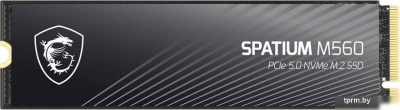 SSD MSI Spatium M560 2TB S78-440Q940-P83 