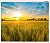 Lumien Eco Picture 178x280 LEP-100124 