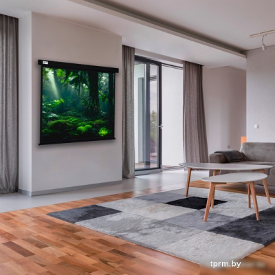 Проекционный экран CACTUS Wallscreen 213x213 CS-PSW-213X213-BK 