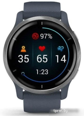 Умные часы Garmin Venu 2 (нержавеющая сталь/синий гранит) 
