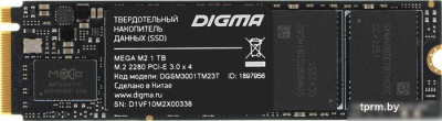 SSD Digma Mega M2 1TB DGSM3001TM23T 