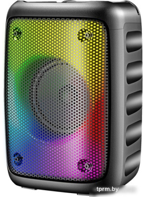 Беспроводная колонка Hyundai H-PS1006 