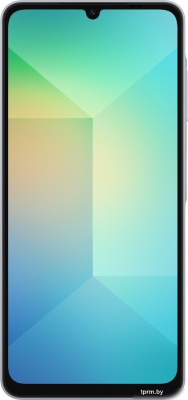 Смартфон Samsung Galaxy A06 SM-A065F 6GB/128GB (голубой) 