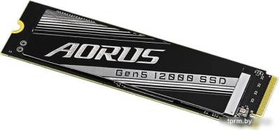 SSD Gigabyte Aorus Gen5 12000 1TB AG512K1TB 