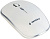 Мышь Gembird MUSW-4B-01-W 