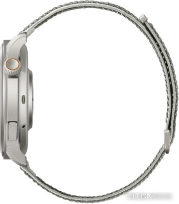 Умные часы Amazfit Balance (серый закат) 