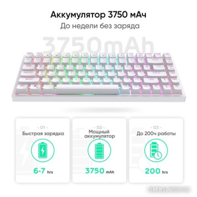 Клавиатура Royal Kludge RK84 RGB (белый, RK Red) 
