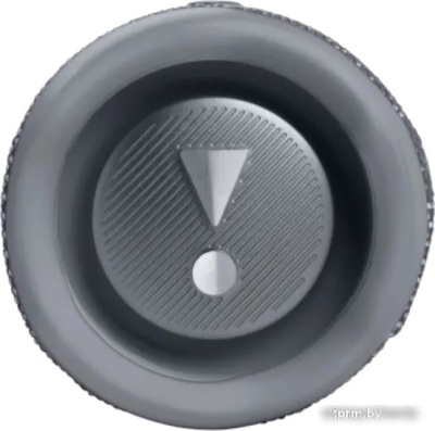 Беспроводная колонка JBL Flip 6 (серый) 