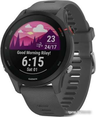 Умные часы Garmin Forerunner 255 46 мм (сланцево-серый/черный) 