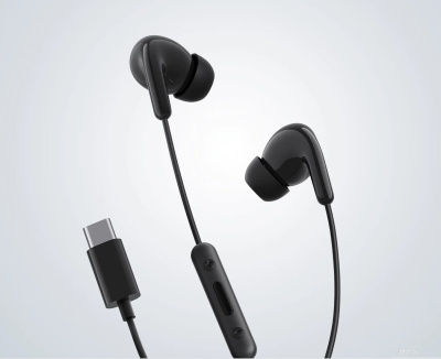 Наушники Xiaomi Type-C Earphones M2413E1 (черный, международная версия) 
