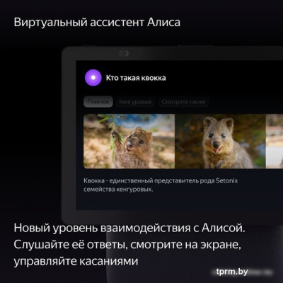 Яндекс Станция Дуо Макс (черный) 