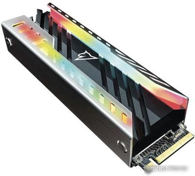 SSD Netac NV3000 RGB 1TB NT01NV3000RGB-1T0-E4X 
