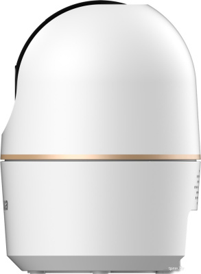 IP-камера Dahua DH-H4A 