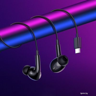 Наушники Borofone BM100 Pro USB Type-C (черный) 