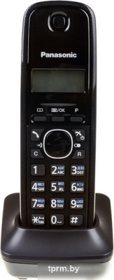 Радиотелефон Panasonic KX-TG1612RUH 