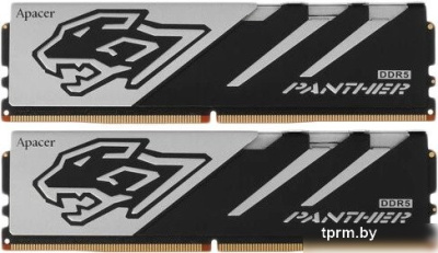 Оперативная память Apacer Panther 2x32ГБ DDR5 6000 МГц AH5U64G60C6227BAA-2 