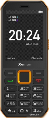 Телефон Xenium X300 (оранжевый/черный) 