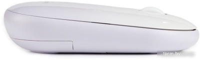 Мышь SmartBuy SBM-266AG-W 