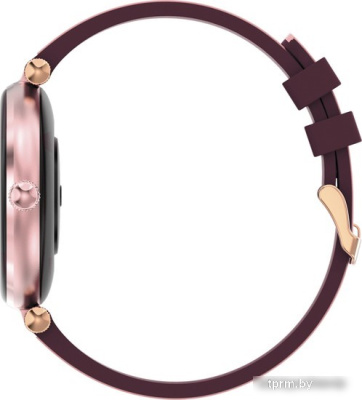 Умные часы Canyon Semifreddo SW-61 (бодровый) 