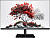 Монитор RDW Computers RDW2701K (черный) 