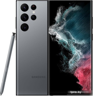 Смартфон Samsung Galaxy S22 Ultra 5G SM-S908B/DS 12GB/512GB (графитовый) 