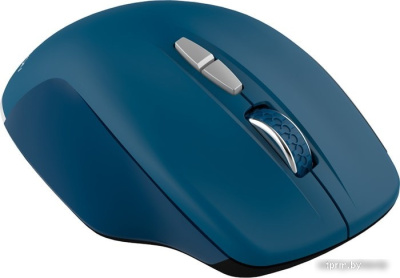 Мышь Canyon MW-21 (сапфир) 