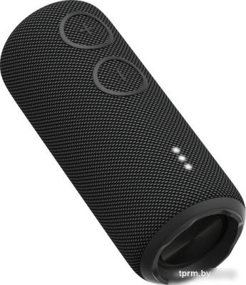 Беспроводная колонка Aiwa PAS-H200 (черный) 