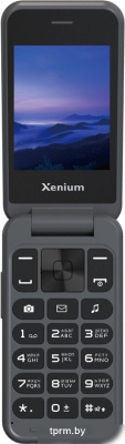 Телефон Xenium Xenium X680 (темно-серый) 