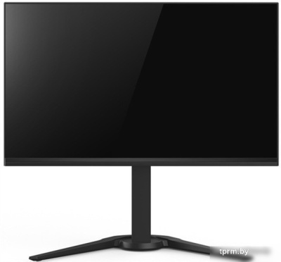 Игровой монитор CHiQ LMD24F505-R 