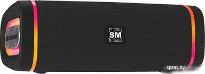 Беспроводная колонка Soundmax SM-PS5019B (черный) 
