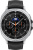 Умные часы Samsung Galaxy Watch8 Classic 46 мм LTE (серебристый/черный) 