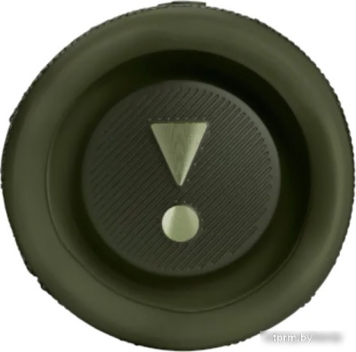 JBL Flip 6 (зеленый) 