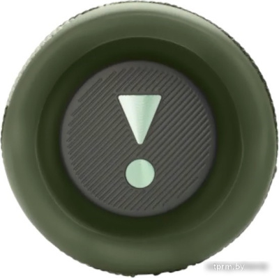 JBL Flip 6 (камуфляж) 