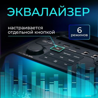 Беспроводная колонка Ginzzu GM-117 