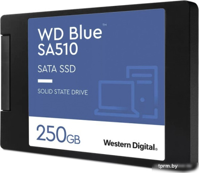 SSD WD Blue SA510 250GB WDS250G3B0A 