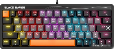 Клавиатура Defender Black Raven GK-417 45413 