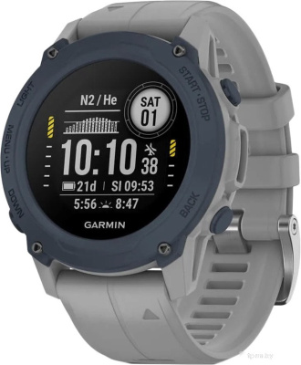 Умные часы Garmin Descent G1 (серый) 