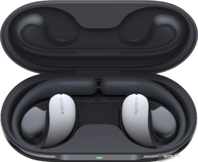 Наушники Xiaomi OpenWear Stereo M2319E1 (серый космос, международная версия) 