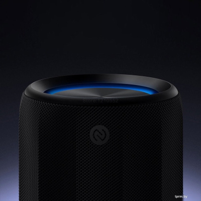 Беспроводная колонка Xiaomi Bluetooth Speaker Mini ASM01G (черный, международная версия) 