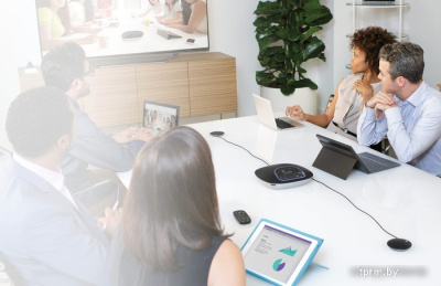 Микрофон Logitech Group Expansion Microphones [989-000171] 