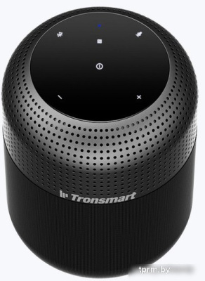 Беспроводная колонка Tronsmart T6 Max 