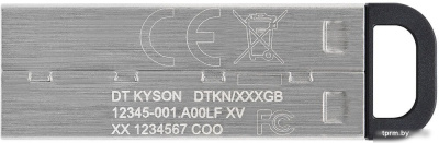 Kingston Kyson 64GB 