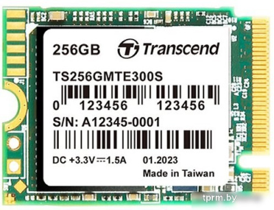Transcend 300S 256GB TS256GMTE300S 