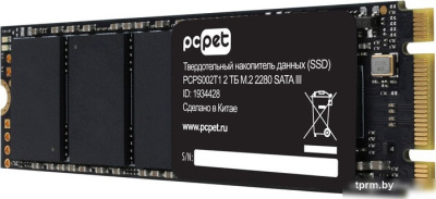 SSD PC Pet 2TB PCPS002T1 
