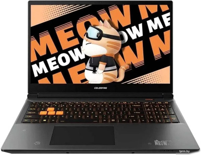 Игровой ноутбук Colorful Evol MEOW R15 A10305000025 