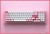 Akko ACR 98 Mini Prunus Lannesiana (Akko CS Jelly White) Akko ACR 98 Mini Prunus Lannesiana (Akko CS Jelly White)