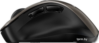 Мышь Genius Ergo 9000S (титановый) 